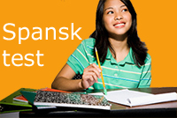 Spanish level test