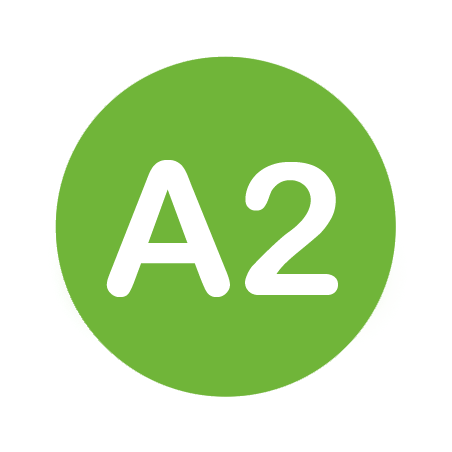 A2 Spanish level course