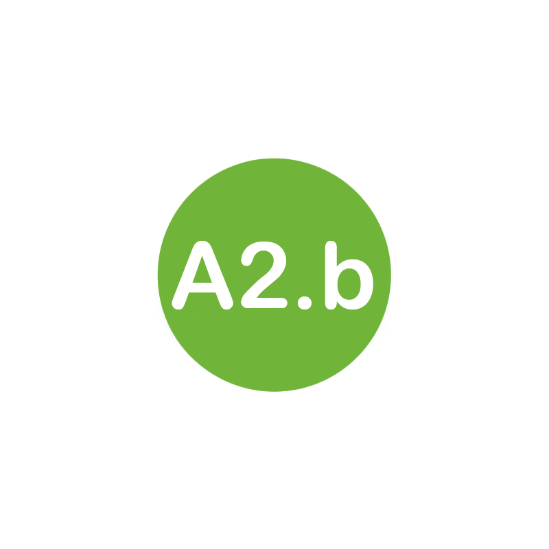 A2.b Spanish level course