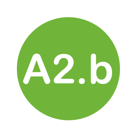 A2.b Spanish level course