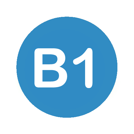 B1 Spanish level course