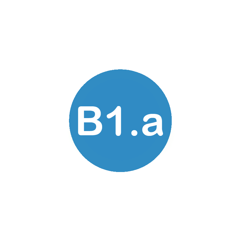 B1.a Spanish level course