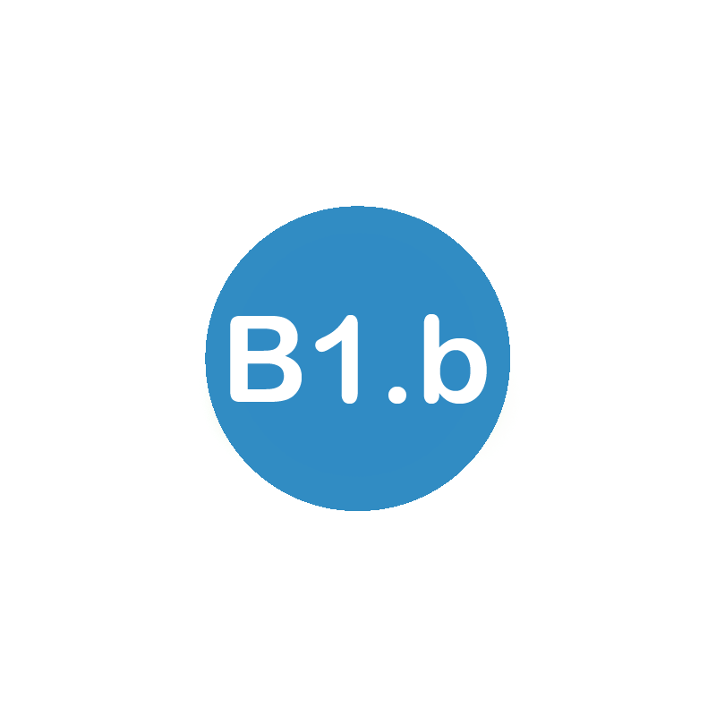 B1.b Spanish level course