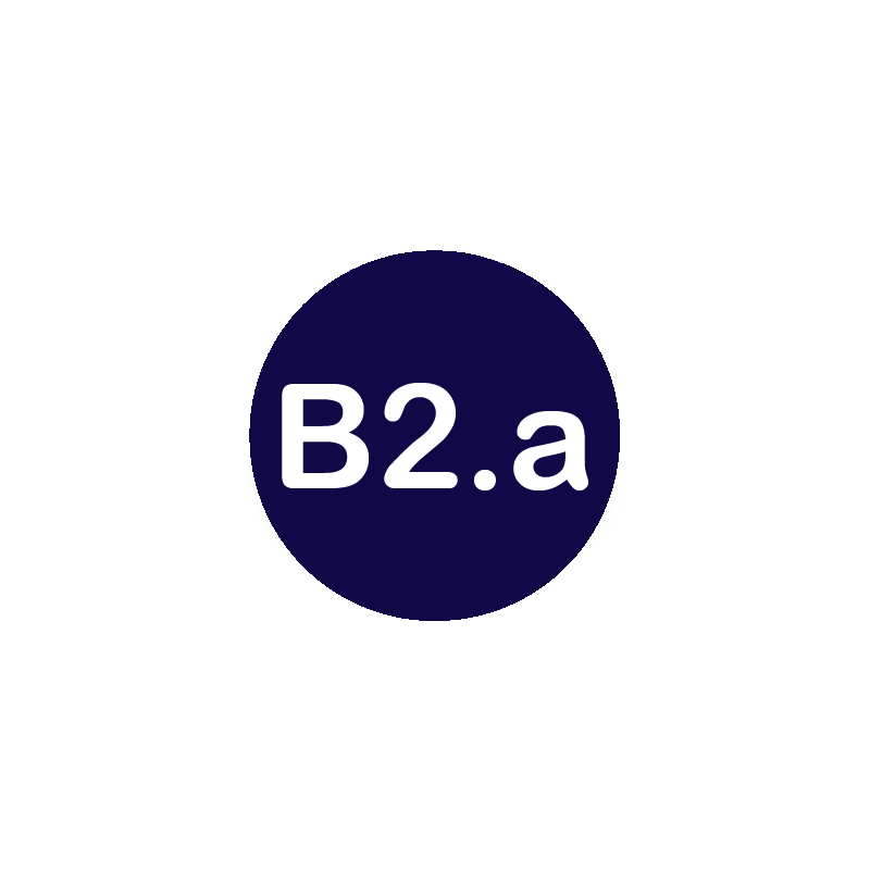 B2.a Spanish level course