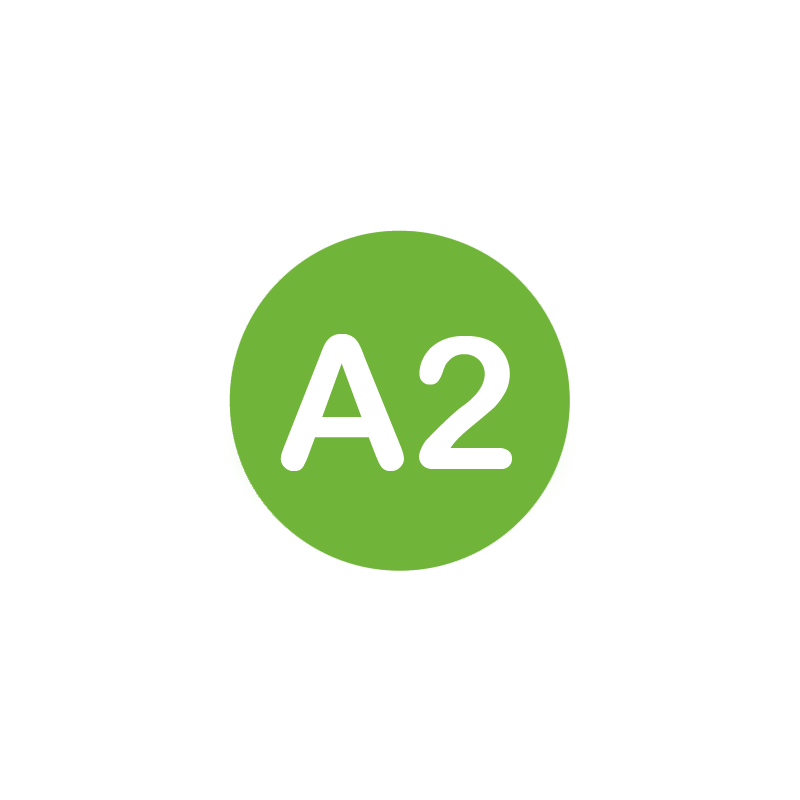 Curso ELE Nivel A2 - Cervantes Online