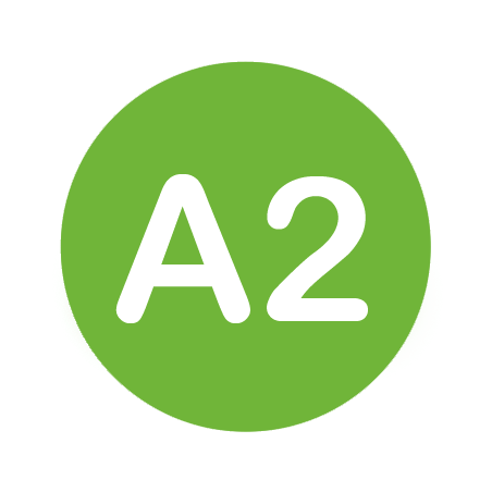 Curso ELE Nivel A2 - Cervantes Online