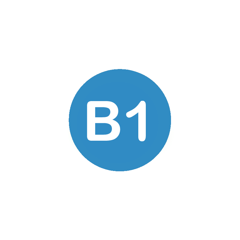 Curso ELE Nivel B1 - Cervantes Online