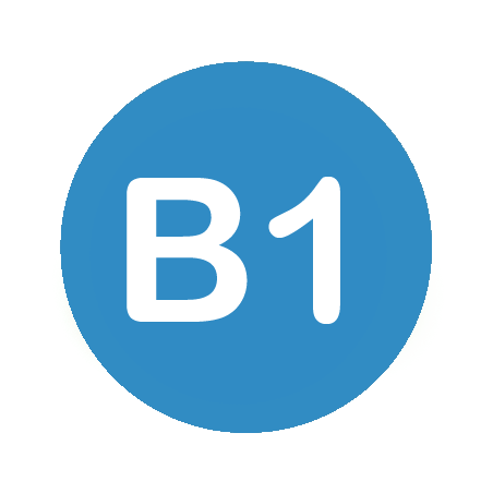 Curso ELE Nivel B1 - Cervantes Online