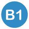 Curso ELE Nivel B1 - Cervantes Online