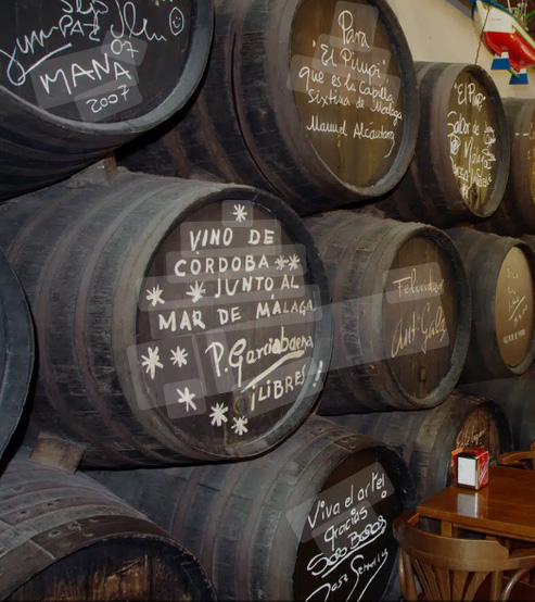 CATA DE JAMÓN IBÉRICO Y VINOS EN LA BODEGA EL PIMPI