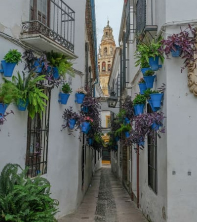 EXCURSIÓN A CÓRDOBA