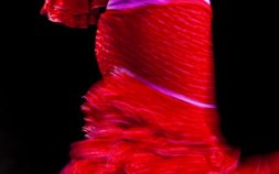 Curso Intensivo + Flamenco (20 + 6 lecciones por semana)