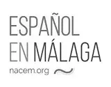 NACEM logo